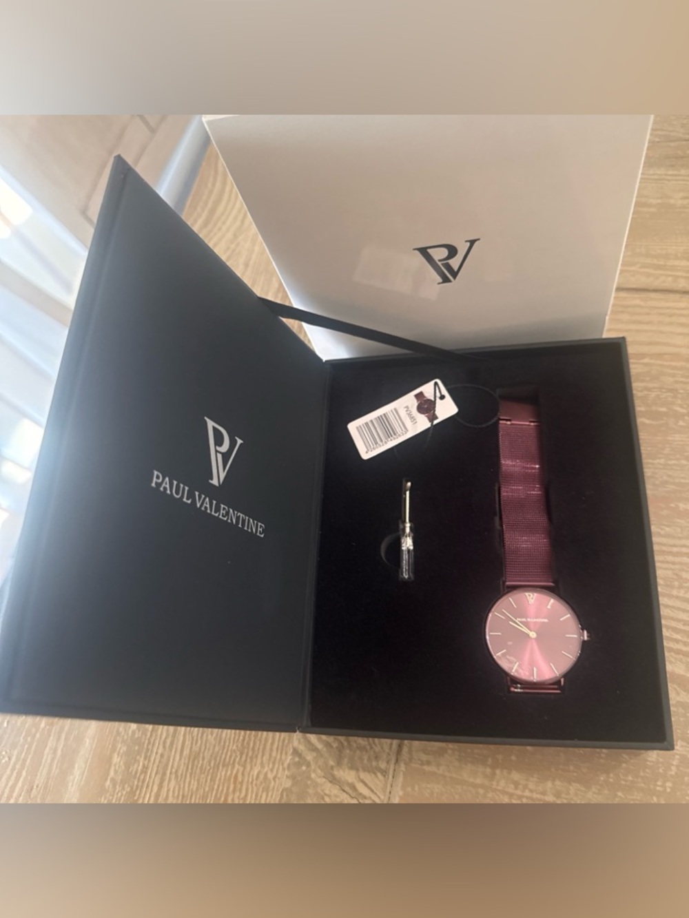Paul Valentine NIB Mesh Strap Watch